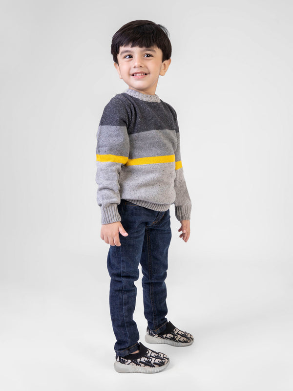 Grey & Yellow  Casual Crew Neck Jumper