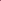 Burgundy Printed Polo